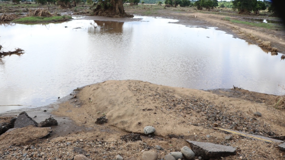 Cyclone Gombe Kills 7, Damages Houses and Roads in Malawi - Vimarsana News