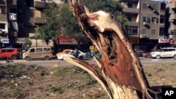 FILE - The remains of a giant tree is left in a public green space that was replaced by a new highway, in a median on Gesr Al Suez street, in Heliopolis, in Cairo, Egypt, Dec. 26, 2019.