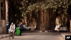 মিশরের কায়রোতে কায়রো টাওয়ারের কাছে ১৫০ বছরের প্রাচীন একটি বটগাছ। ১৭ ফেব্রুয়ারী, ২০২২। 