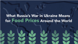 The Impact of the Russian Invasion on Food Prices Around the World