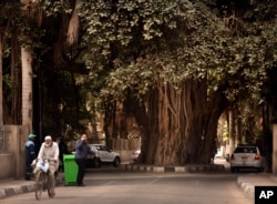 FILE - People walk under a 150 year-old banyan tree near the Cairo tower in Cairo, Cairo, Egypt, Feb. 17, 2022.
