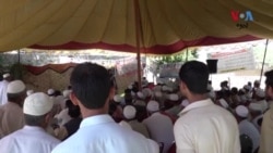 په پښتونخوا کې د غنمو فصلونه د بېلابېلو ناروغیو سره مخ دي