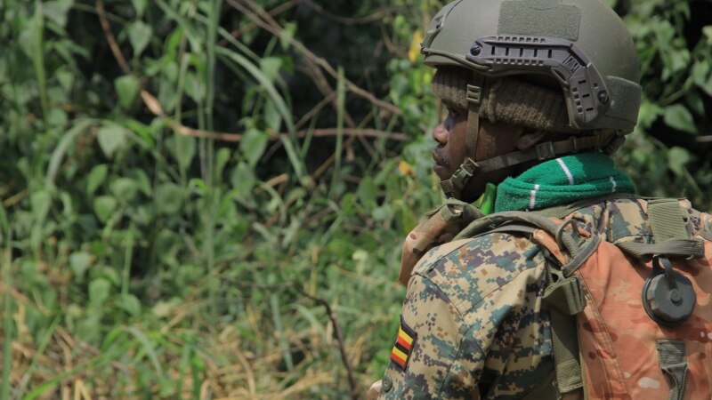 RDC: les ADF repoussés vers l'ouest par les opérations militaires ougando-congolaises