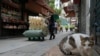 A worker wearing a face mask delivers packs of dried fish maw in an outdoor market in Hong Kong, March 22, 2022.