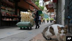 2022年3月22日，在香港的一个户外市场，一名戴着口罩的工人在运送干鱼肚。（美联社）