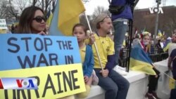 Thủ đô Mỹ ngập tràn hình ảnh ủng hộ Ukraine