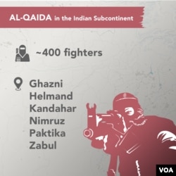 Al--Qaida in the Indian Subcontinent