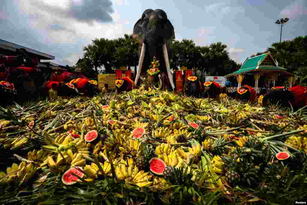 Elephants enjoy a &quot;buffet&quot; of fruit and vegetables during Thailand&#39;s National Elephant Day celebration at Nong Nooch Tropical Garden in Pattaya.