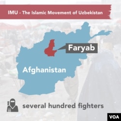 The Islamic Movement of Uzbekistan