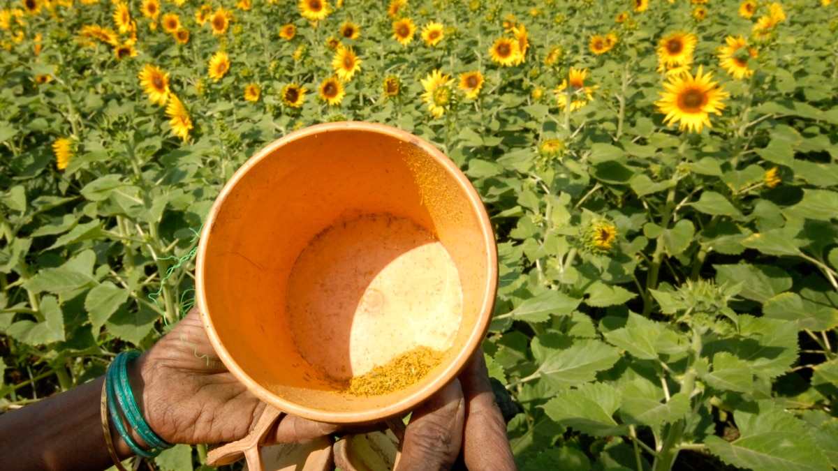 Climate Change Produces More Pollen, Longer Allergy Season