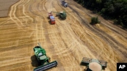 На фото: Фермери збирають врожай на пшеничному полі поблизу села Тбіліська, Росія, 21 липня 2021 року.