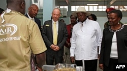 President of Uganda Yoweri Museveni flanked by Irene Muloni, Minister of Energy and Minerals Development and Alain Goetz, CEO of AGR Limited is shown gold flakes at the African Gold Refinery in Entebbe. (File)