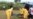 In Sierra Leone, Ebola Fades But Still Impacts Mental Health