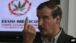 FILE - Mexico's former president Vicente Fox speaks during a news conference held as part of the U.S.-Mexico Symposium on Legalization and Medical Use of Cannabis in San Francisco del Rincon, Mexico, July 18, 2013.