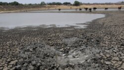 Siphatha Udaba Lokutshabalala Kwamadamu eMatabeleland laseMidlands
