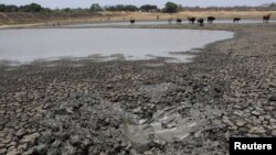 Tanah yang retak saat permukaan air turun di bendungan dekat Gunung Darwin, Zimbabwe, 26 Oktober 2016. (Foto: dok).