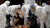 Tiongkok Laporkan Kematian Kedua Akibat Flu Burung Tahun Ini