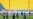 Professional Football Resumes in Italy but Still in Empty Stadiums