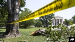 Un árbol caído en los jardínes de enfrente del edificio de la Corte Suprema, en Washington DC, donde miles de personas aún carecen de electricidad este domingo , luego de las violentas tormentas veraneras que azotaron el viernes la capital de la nación.