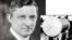 willis carrier