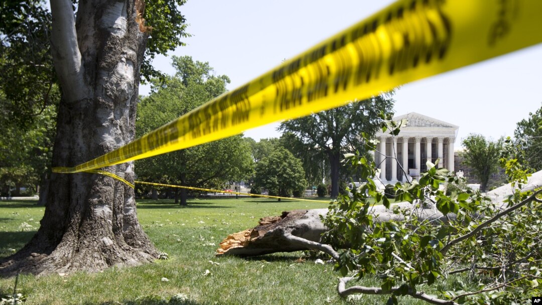 Un árbol caído en los jardínes de enfrente del edificio de la Corte Suprema, en Washington DC, donde miles de personas aún carecen de electricidad este domingo , luego de las violentas tormentas veraneras que azotaron el viernes la capital de la nación.