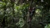 Librek Loha, a farmer, picks a cacao in his field near Indonesia Weda Bay Industrial Park in Central Halmahera, North Maluku province, Indonesia, June 9, 2024. Loha has held out, refusing to sell the land he's tended for decades amid Indonesia's nickel buildout. 