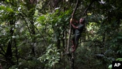 Librek Loha, a farmer, picks a cacao in his field near Indonesia Weda Bay Industrial Park in Central Halmahera, North Maluku province, Indonesia, June 9, 2024. Loha has held out, refusing to sell the land he's tended for decades amid Indonesia's nickel buildout. 