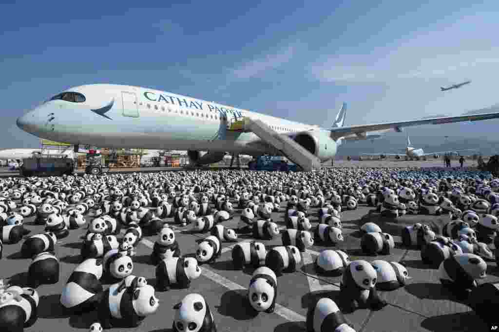 Part of 2,500 panda sculptures are displayed at the Hong Kong International Airport during a welcome ceremony of the panda-themed exhibition &quot;Panda Go!&quot; in Hong Kong.