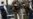 'Man in the Hat' Brussels Bombing Suspect Taken to France to Face Charges