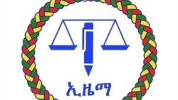 የኢዜማ መግለጫ