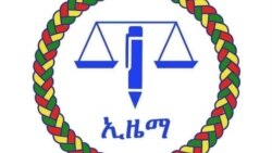 የኢዜማ መግለጫ