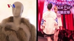 Fashion Designers Optimistic Fur Industry Warming Up
