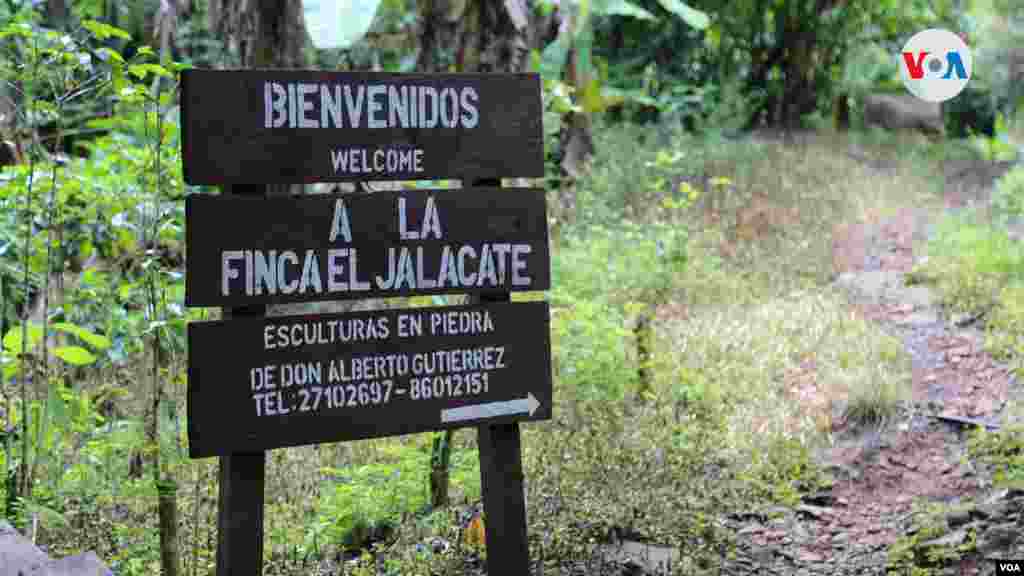 La Finca El Jalacate se encuentra en lo alto de las montañas al suroeste de Estelí.&nbsp;