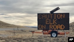 A sign alongside U.S. 287 southeast of Lander, Wyoming, warns drivers to watch out for elk crossing the highway on Friday, March 4, 2022. (AP Photo/Mead Gruver)