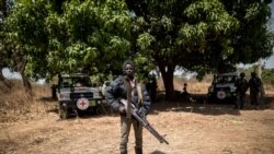 Les Sénégalais apprécient diversement l'offensive de l’armée en Casamance