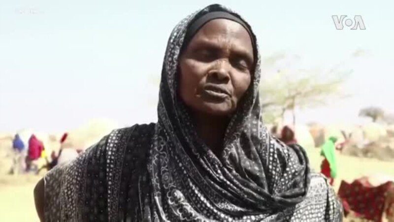 Sécheresse en Somalie : des millions de personnes ont besoin d'aide