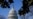 US Senate Approves Bill to Make Daylight Saving Time Permanent