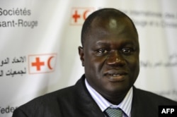 FILE - Alasan Senghore during a Red Cross meeting about the challenges of development in Africa, Nov. 10, 2010, in Johannesburg,