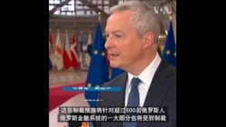 法国财长：欧盟出台最严厉措施制裁俄罗斯
