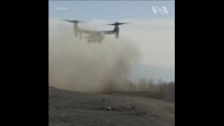 美日部队举行联合军演