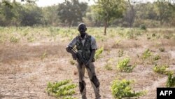  Un séparatiste appartenant au Mouvement des forces démocratiques de Casamance (MFDC) monte la garde avant la libération de sept soldats sénégalais capturés dans une colonie abandonnée à Baipal en Gambie, le 14 février 2022.