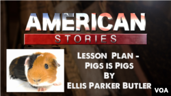 Lesson Plan for Pigs is Pigs
