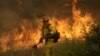 加州野火已成该州史上最严重野火