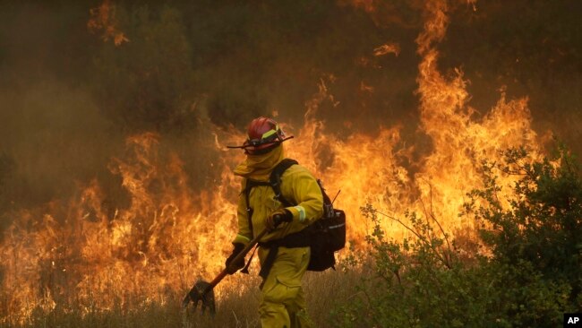 Un bombero de Cal Fire en Mendocino camina junto a una línea de contención mientras un incendio forestal avanza en Lakeport, California, el lunes, 30 de julio de 2018.