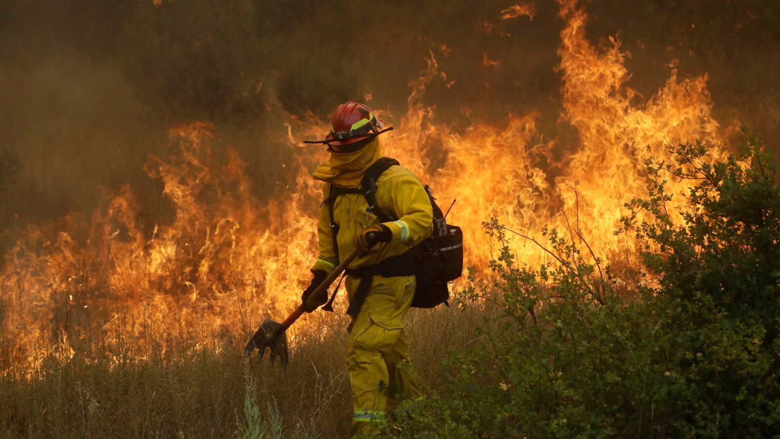 Vatrogasac se bori sa požarom Mendocino, 30. juna 2018, u Lejkportu, Kalifornija.