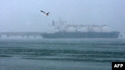 FILE - A seagull flies by a tanker near a liquefied natural gas plant on Sakhalin island outside the town of Korsakov, Russia, Feb. 16, 2009.