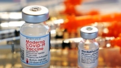 FDA批准為50歲及以上者接種第四劑輝瑞與莫德納新冠疫苗
