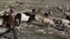 Si par le passé, la sécheresse touchait principalement les régions rurales, elle pèse actuellement sur les zones urbaines.