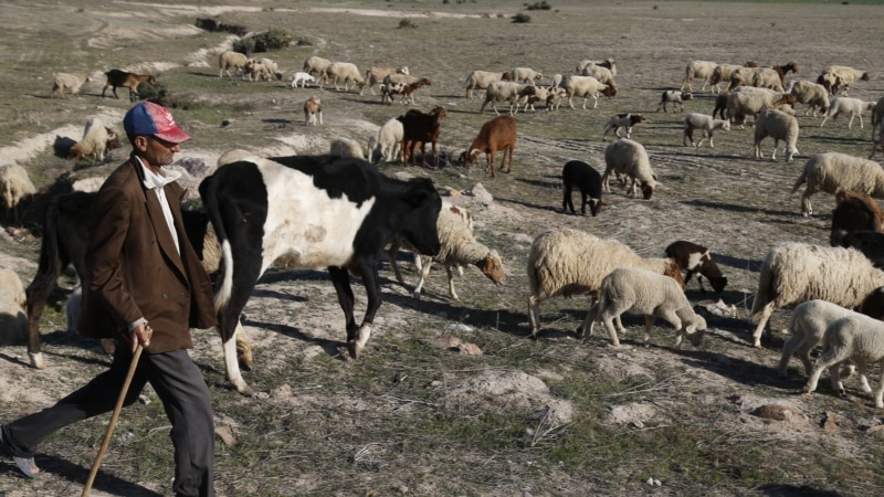 Une sécheresse inédite fait craindre une grave pénurie d'eau au Maroc