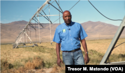 Grower Tesfa Drar stands near irrigation equipment in a field of teff in northeastern Nevada. His company, Selam Foods, sells the ancient grain native to the Horn of Africa, Oct. 2021.
